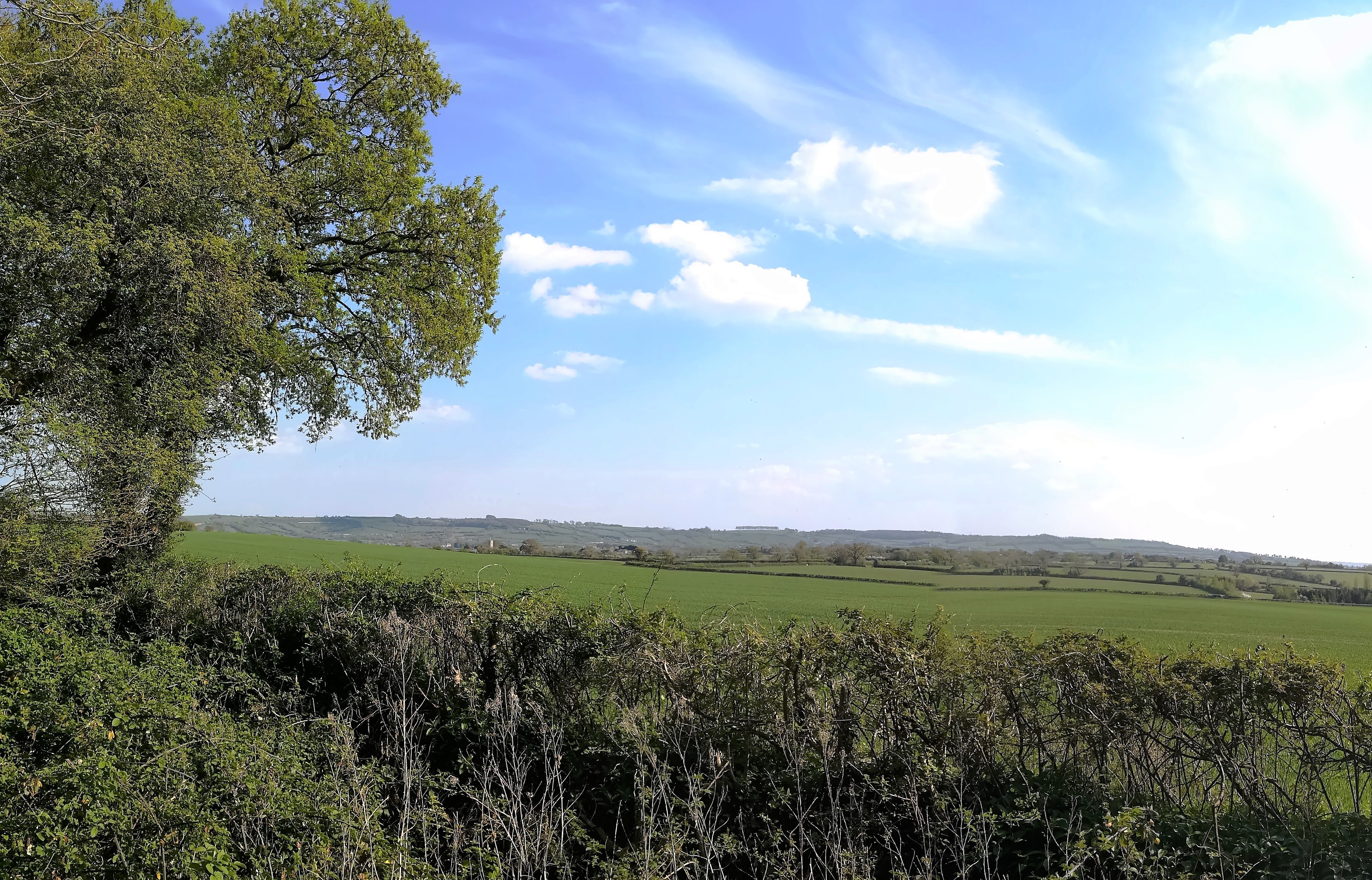 back lane view 1